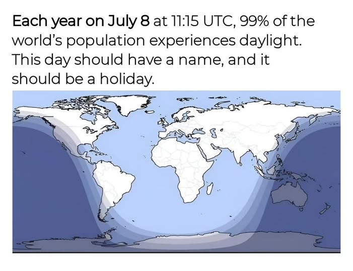Orwell & Goode tweet media