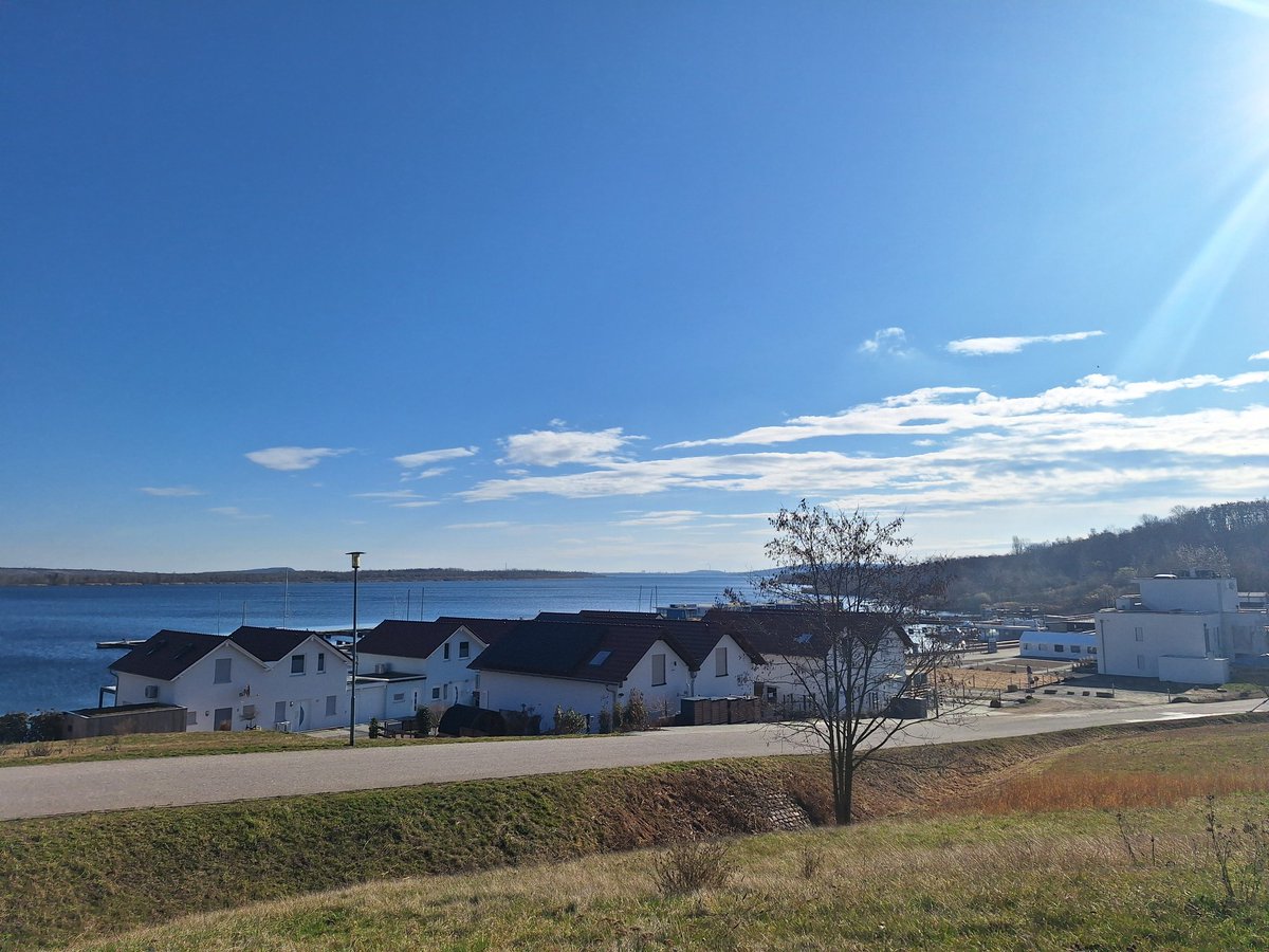 Moonlight1989 tweet media