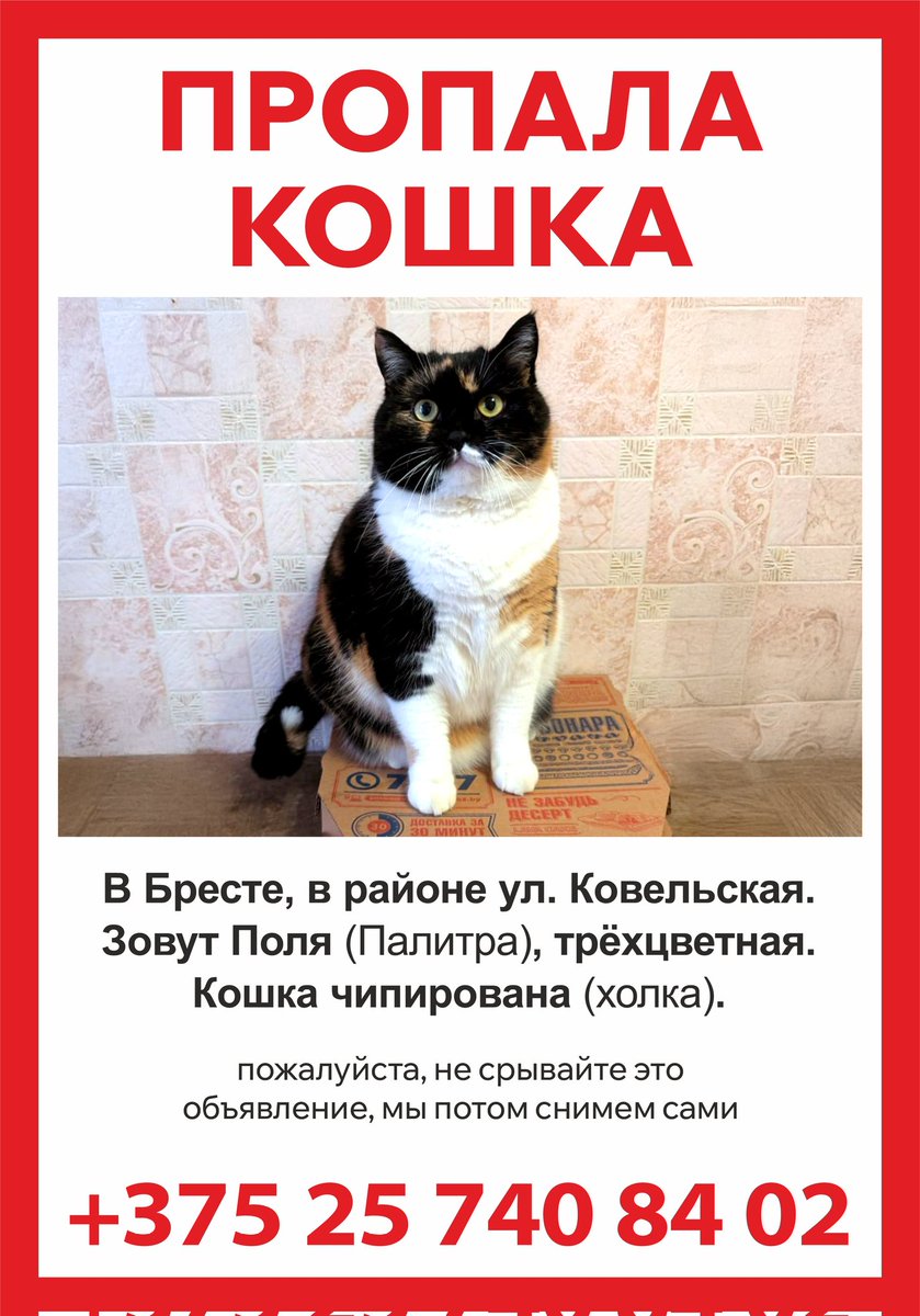 Попугай Геннадий tweet media