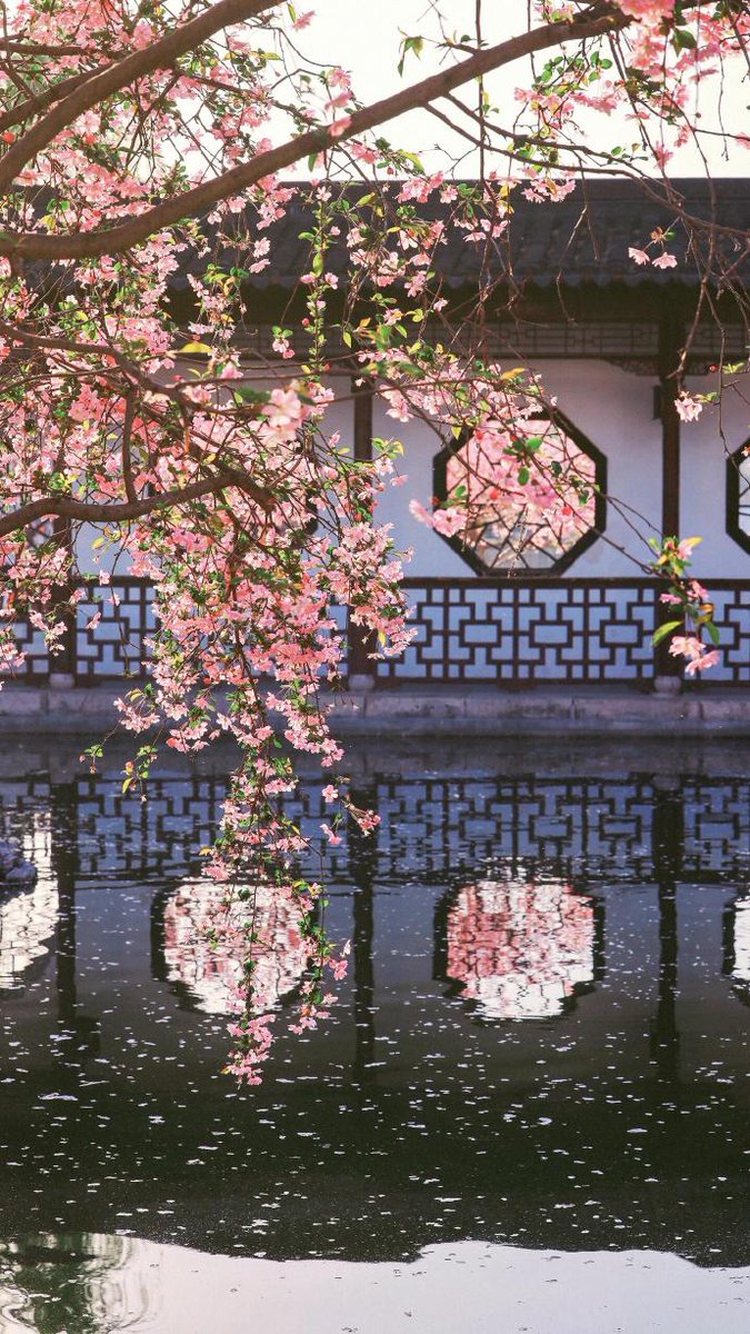 银河修船工（互fo💯💯💯） tweet media