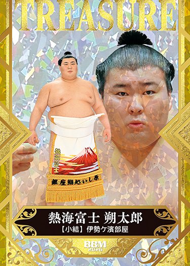 大相撲セット⭐︎熱海富士