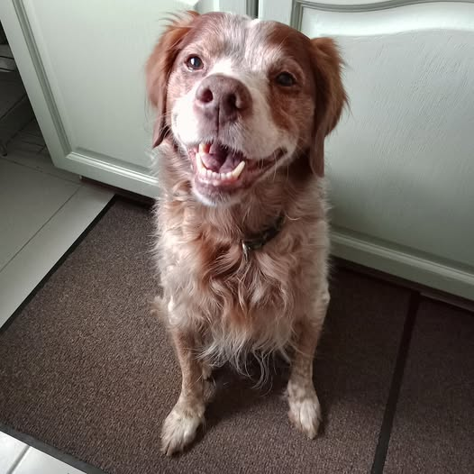 yolanda schultes tweet media