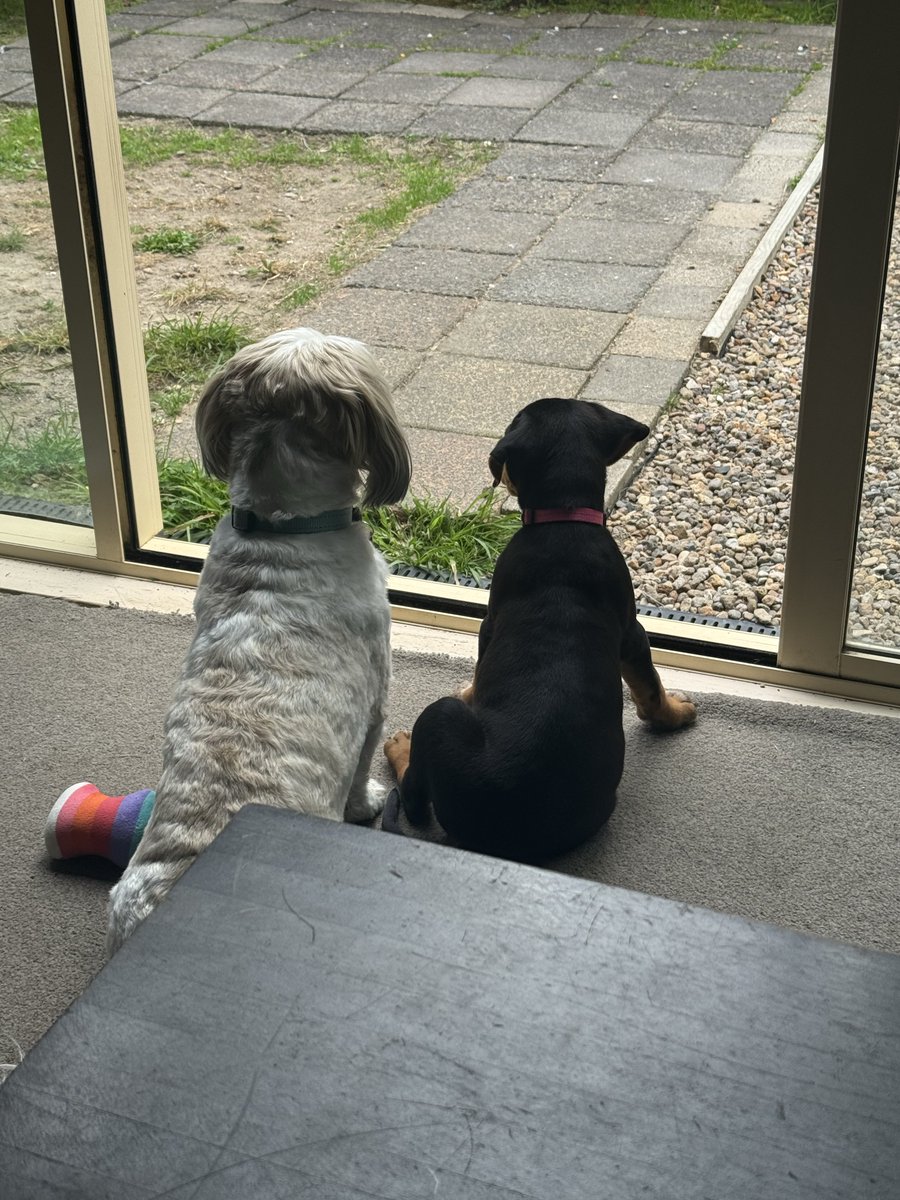 💙💚Jodz💚💙 tweet media