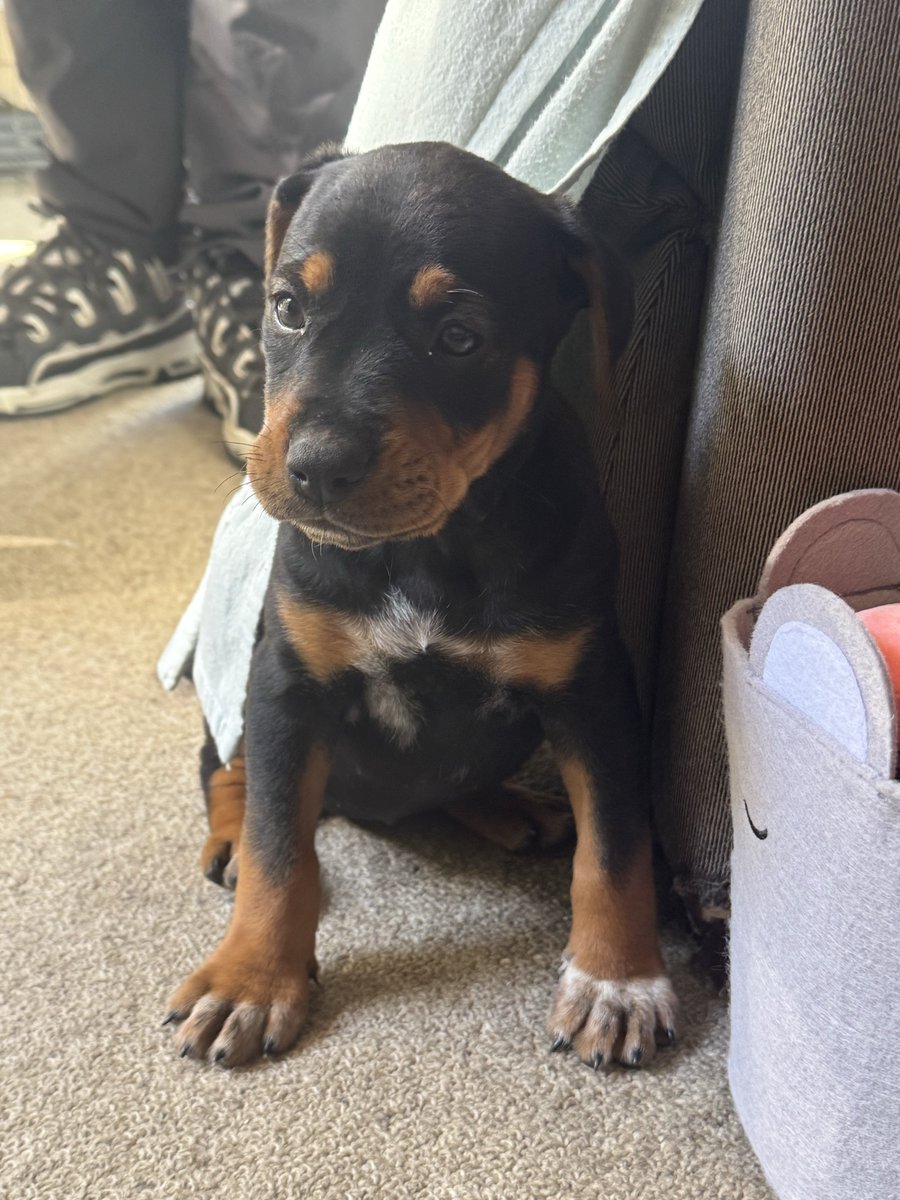 💙💚Jodz💚💙 tweet media