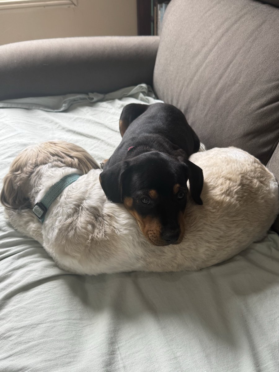 💙💚Jodz💚💙 tweet media