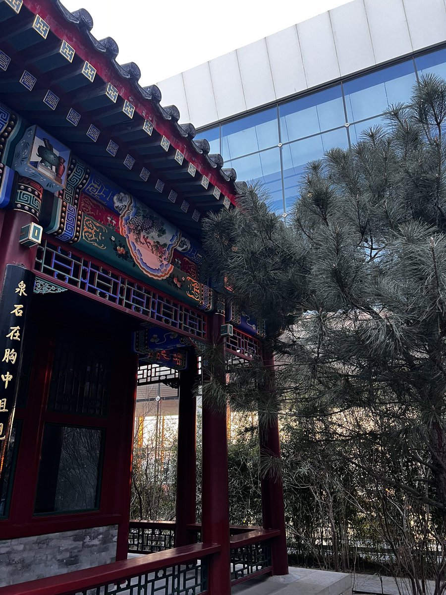 ВЗРОСЛЫЙ КОНТЕНТ tweet media