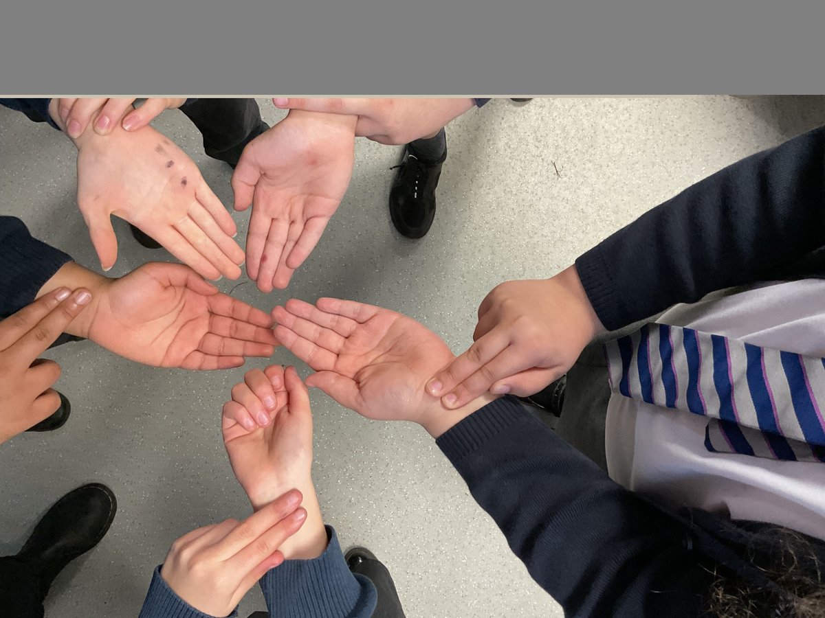 Hook Junior School tweet media