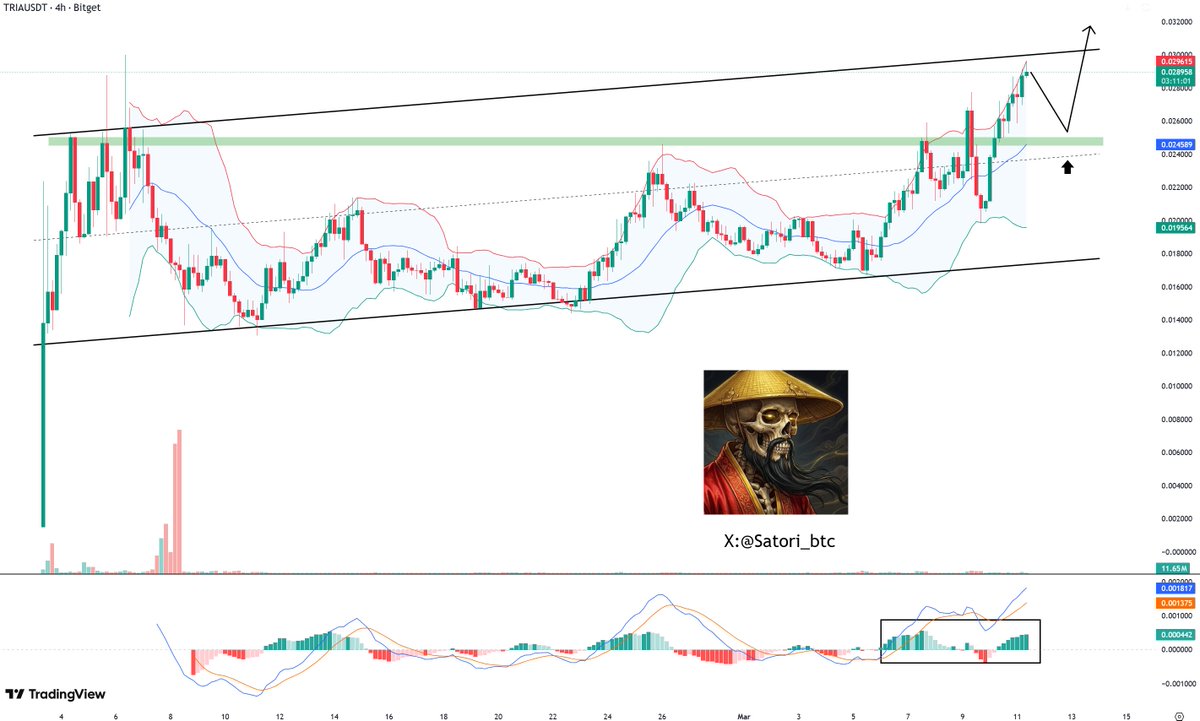 Satori 🎴 💀 tweet media