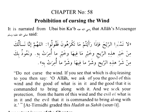 Abu Aisha tweet media