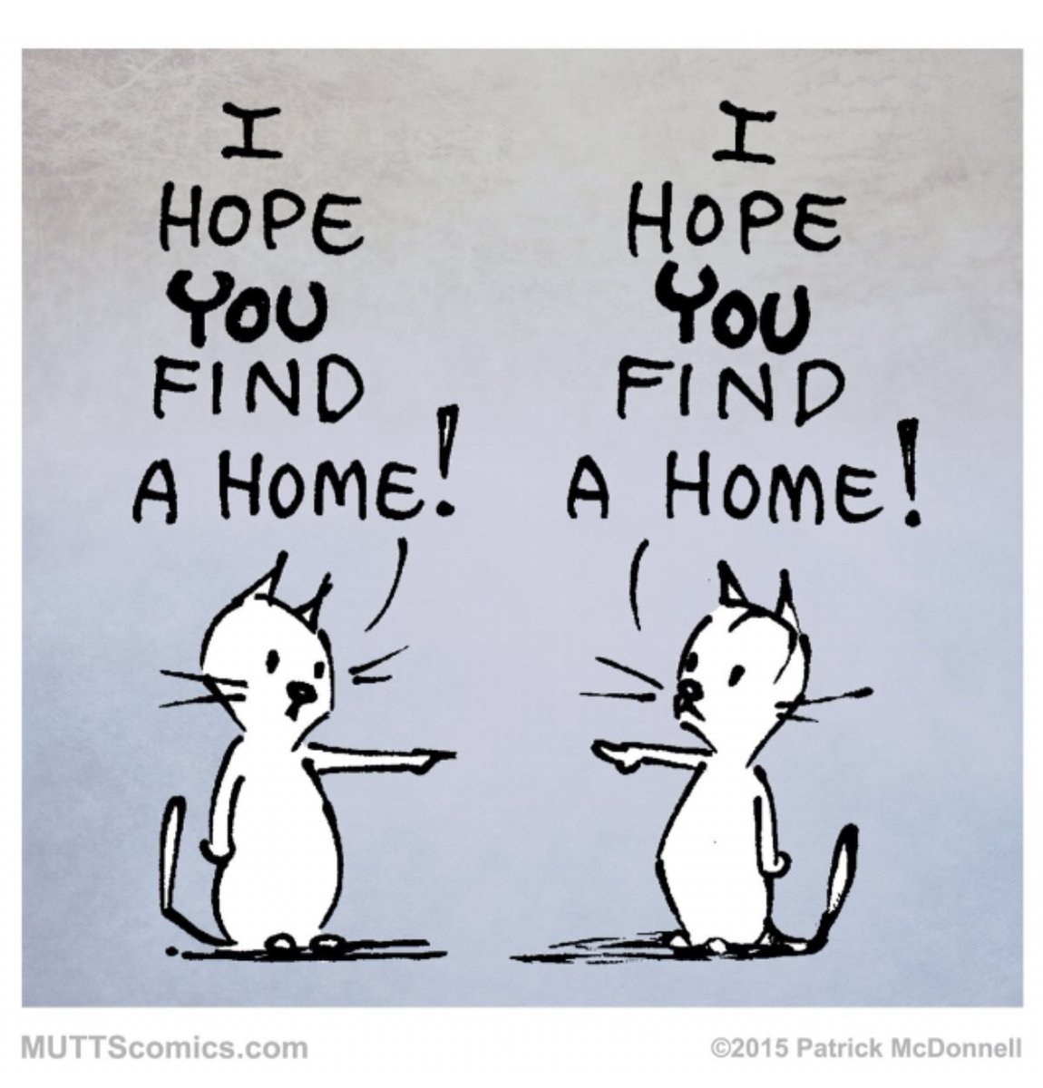 Adoptable Rescue Cats in California tweet media