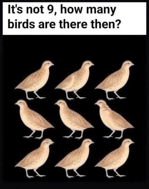 Jason Culleton tweet media