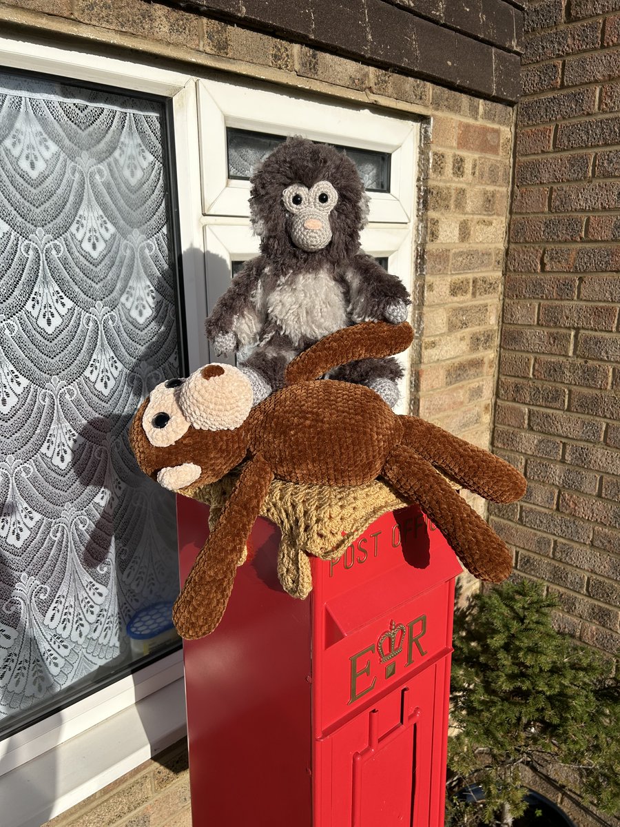 Caroline tweet media