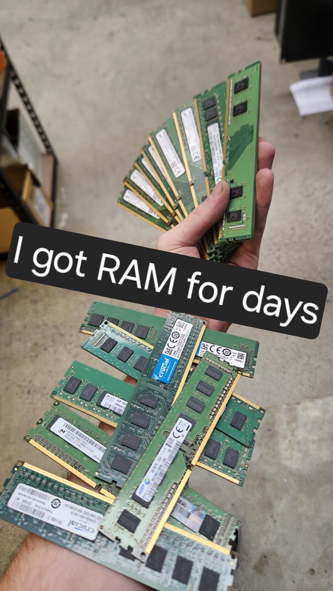 Verdreign 🦇 ⚰️ tweet media