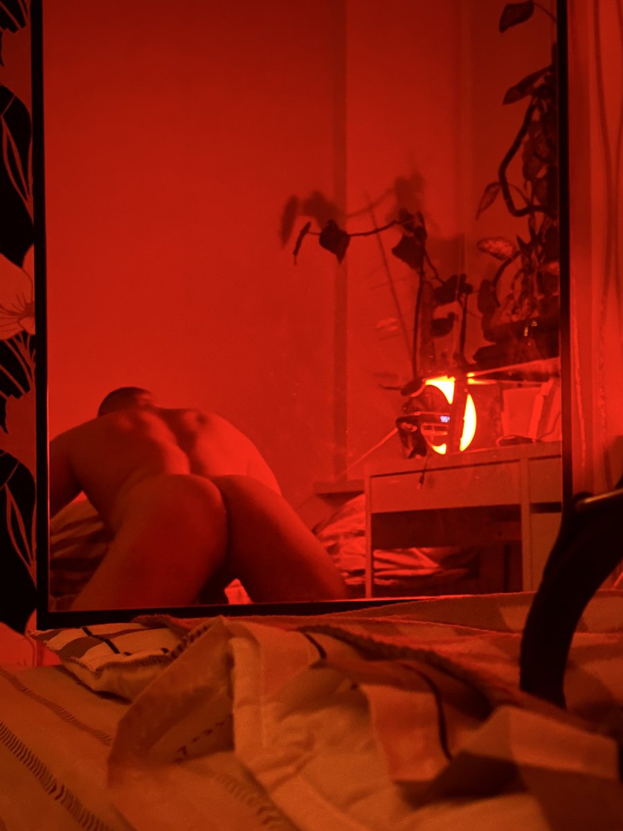 GamerBear tweet media