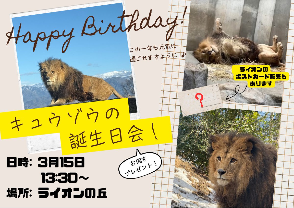 3月16日は… #ライオン の #キュウゾウ 君のお誕生日！? そこで、前日 