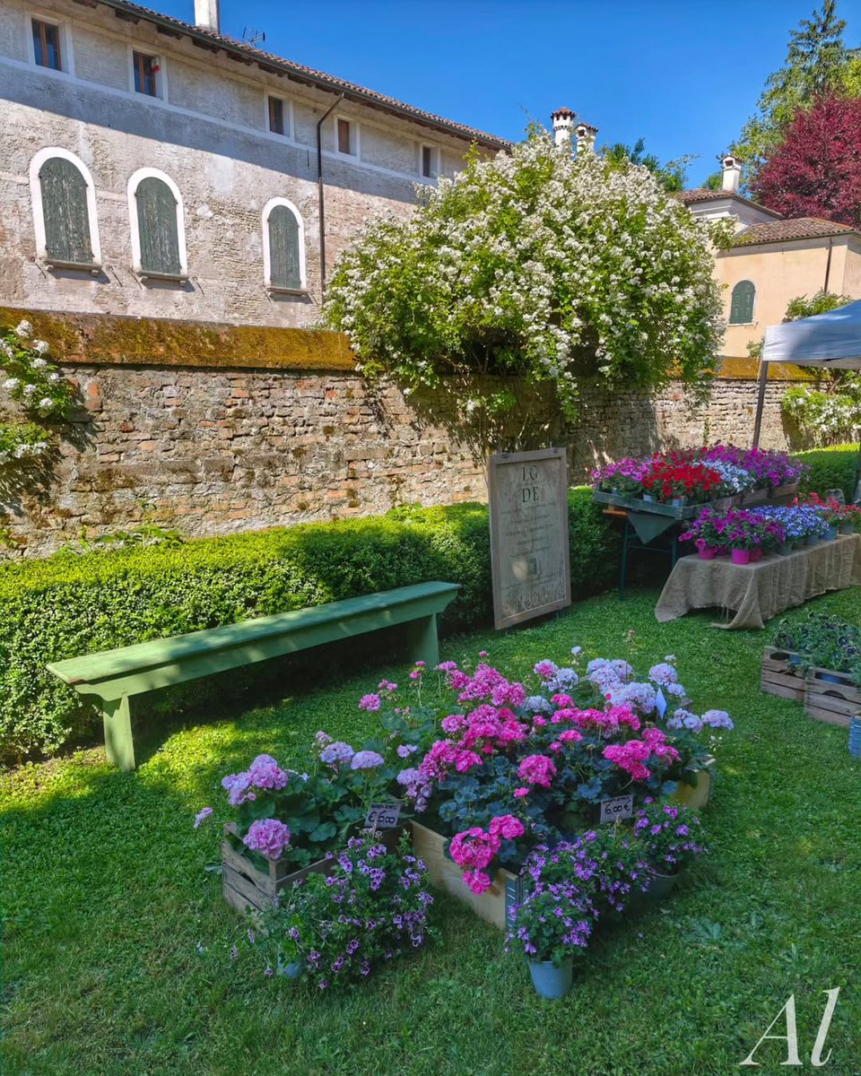 TurismoFVG tweet media