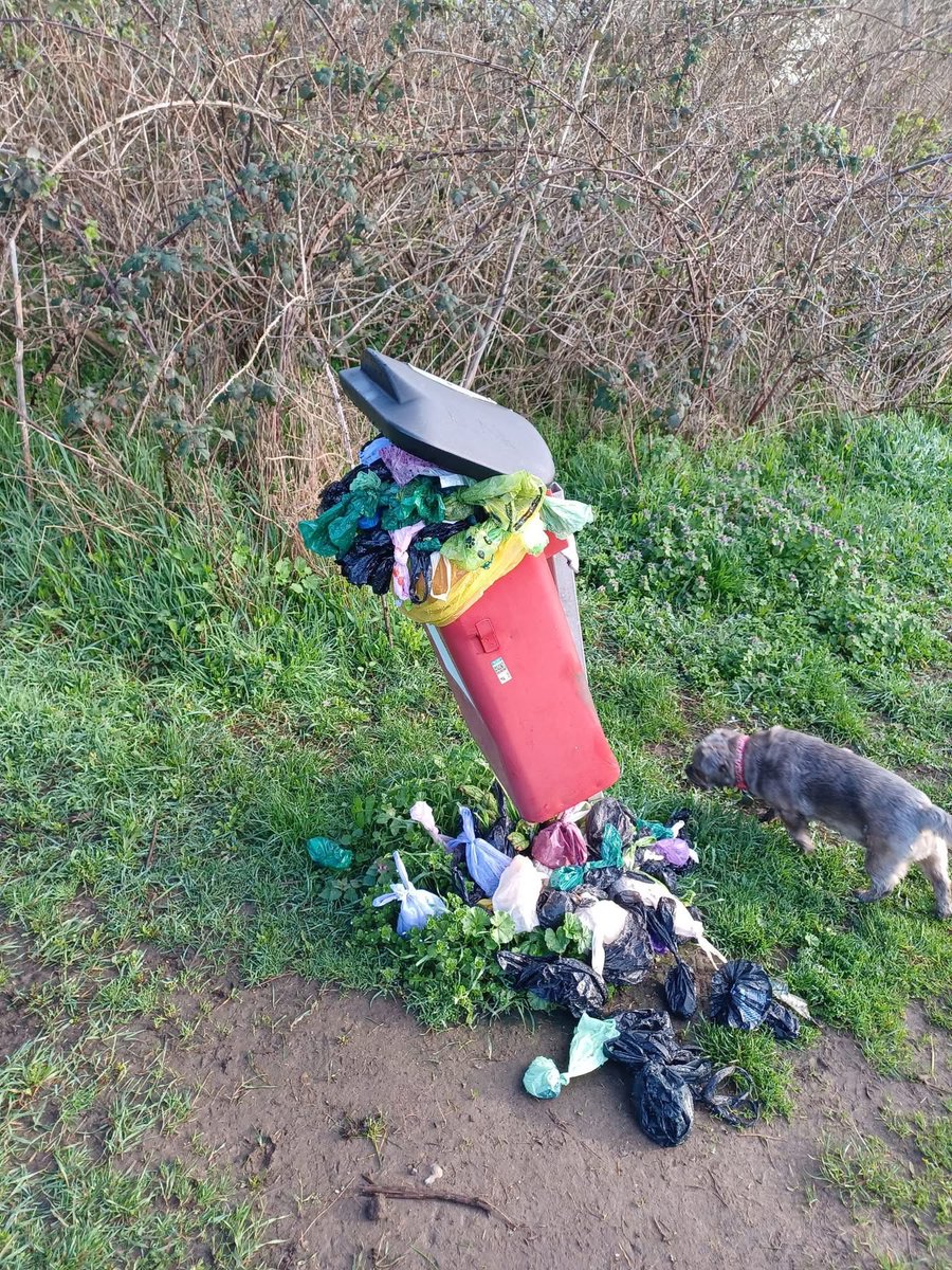 Cllr Helen Taylor tweet media