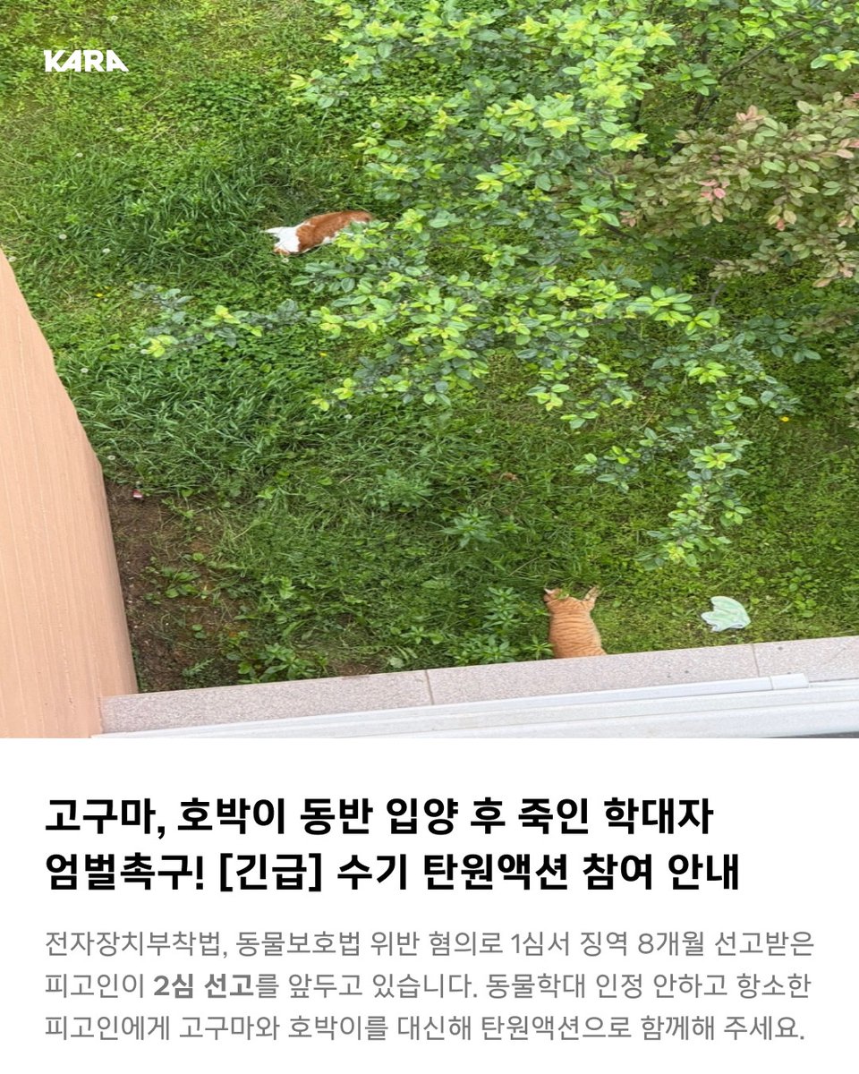 동물권행동 카라 tweet media