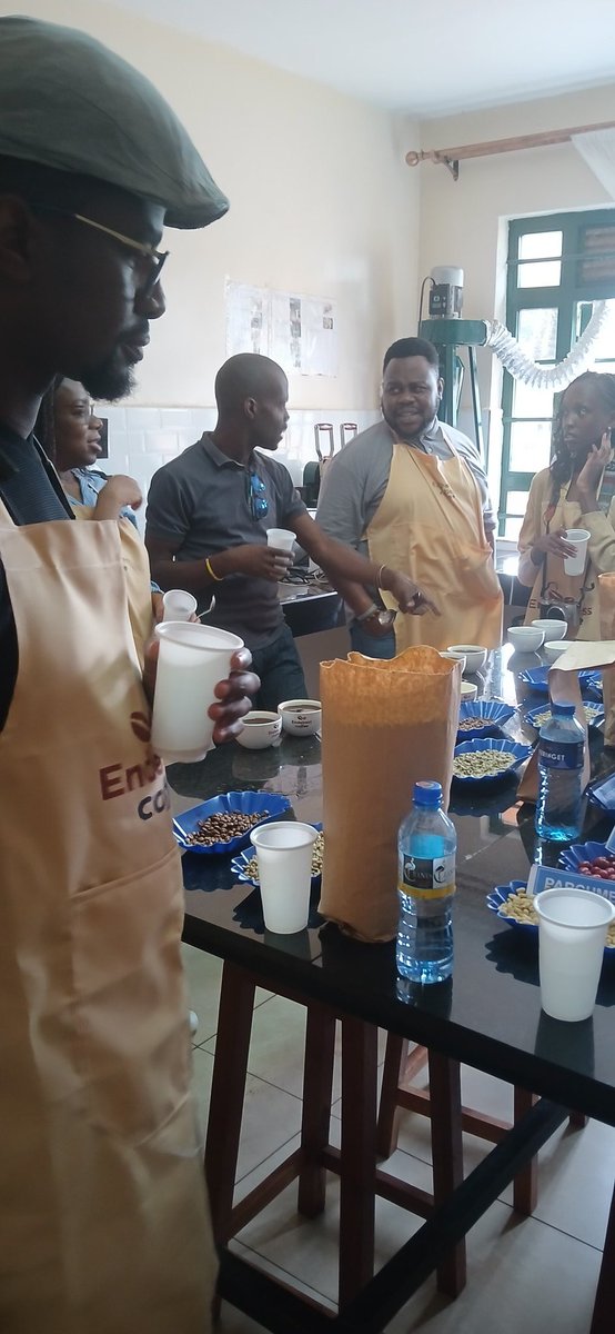 Coffee Doctor/Collins kimanthi tweet media