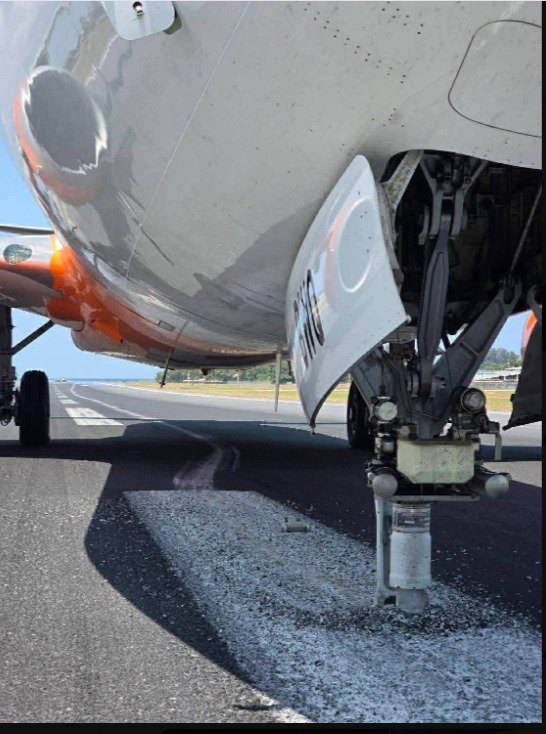 Rahul Shivshankar tweet media