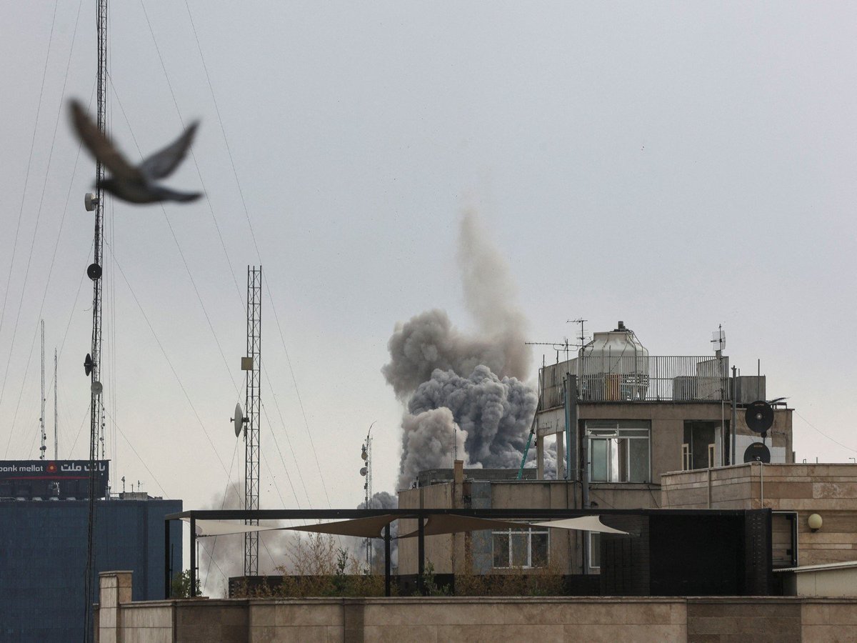 ANI Digital tweet media