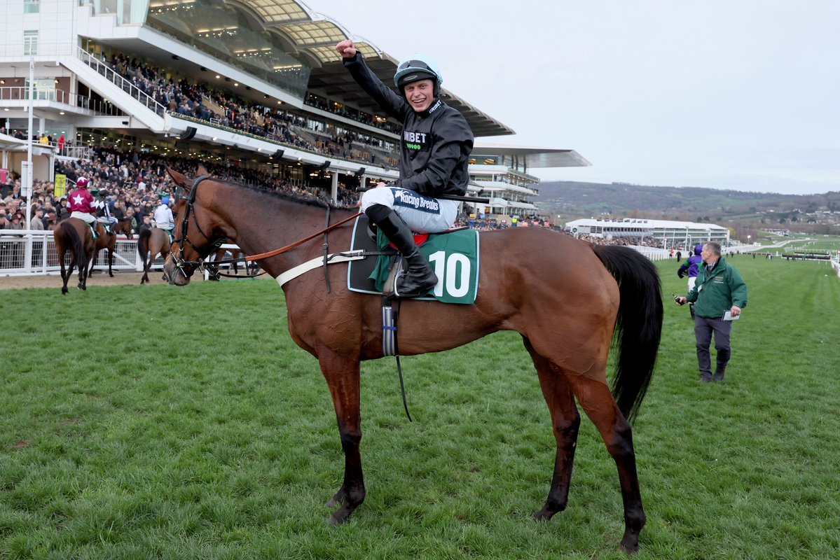 James Bowen tweet media