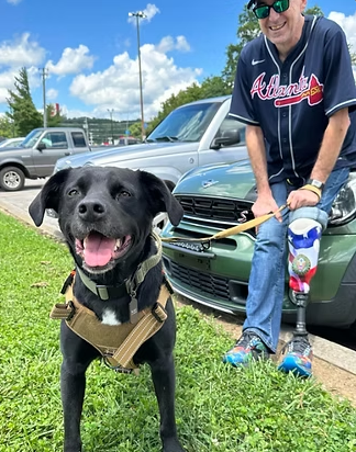 WorkingDogsForVets tweet media