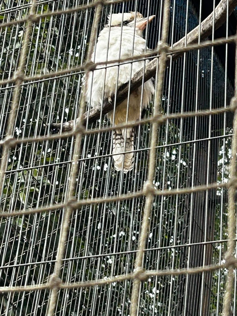 命と自然の学生基地 tweet media