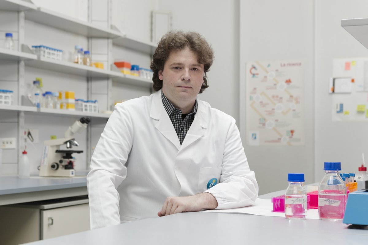 Università di Pavia tweet media