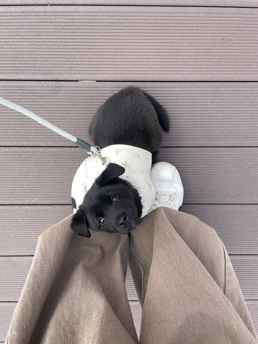 알베르 까뮈 tweet media