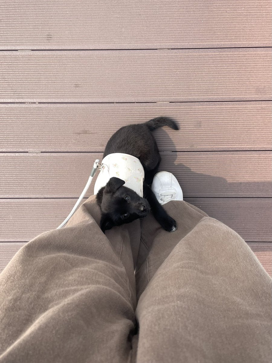 알베르 까뮈 tweet media