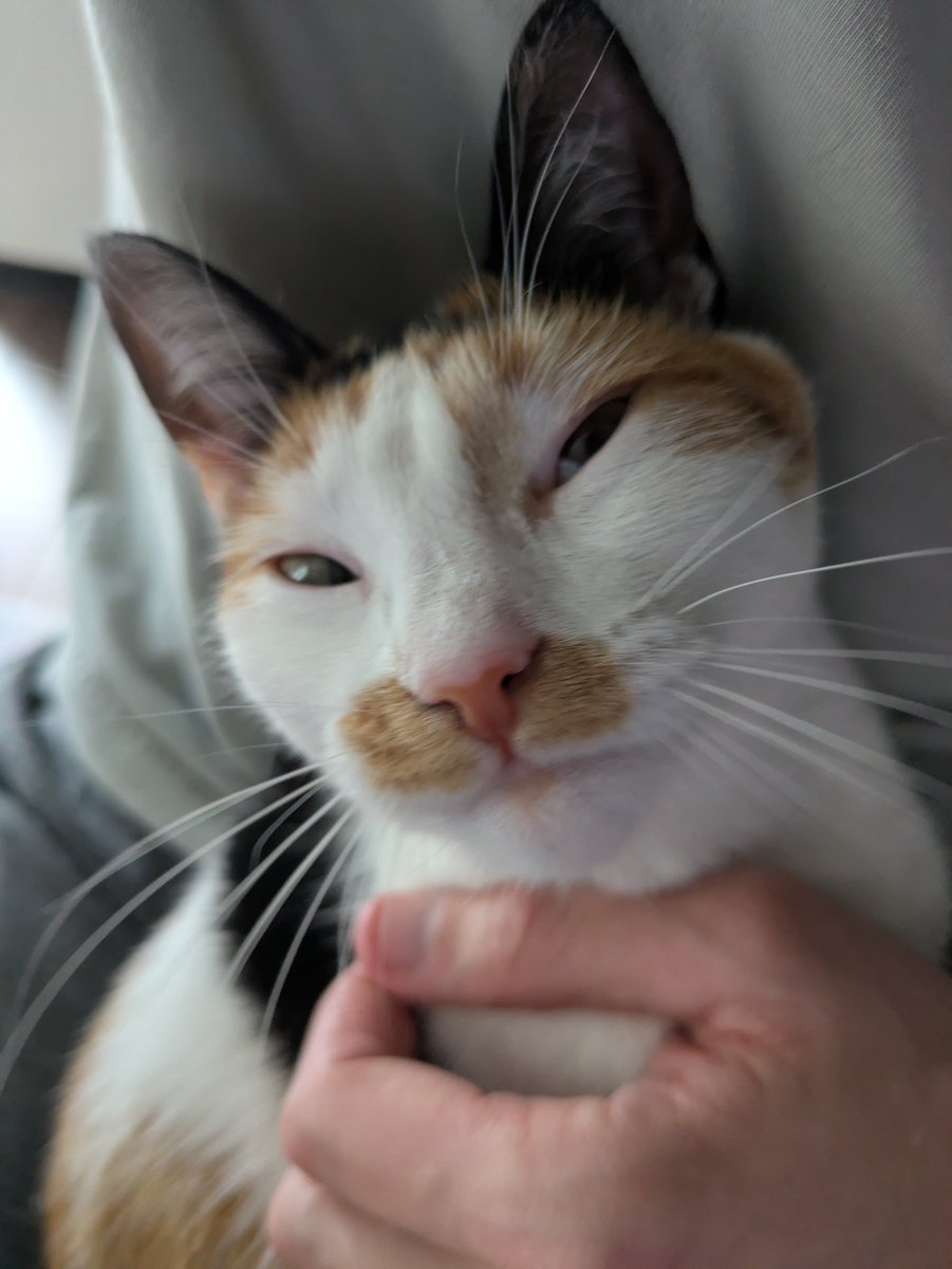 Volodymyr Stoiko tweet media