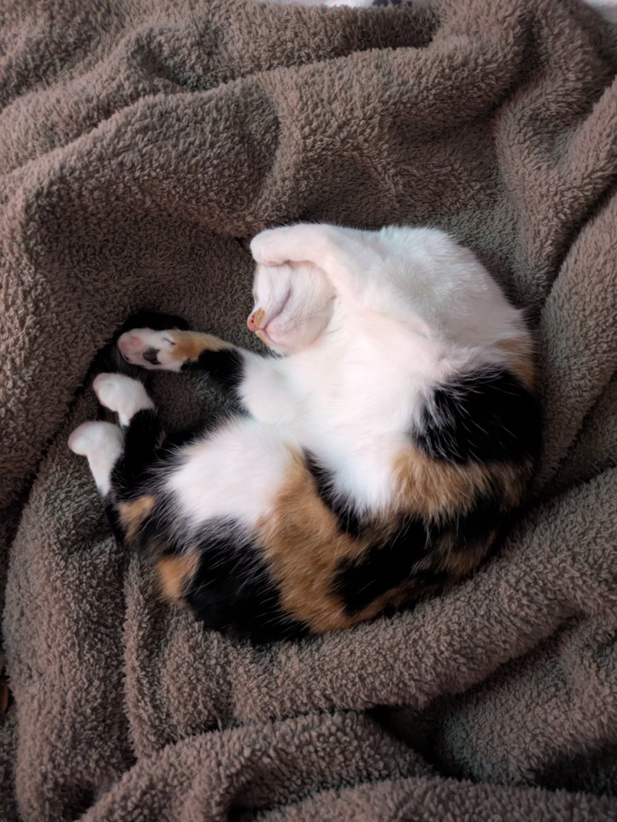 Volodymyr Stoiko tweet media