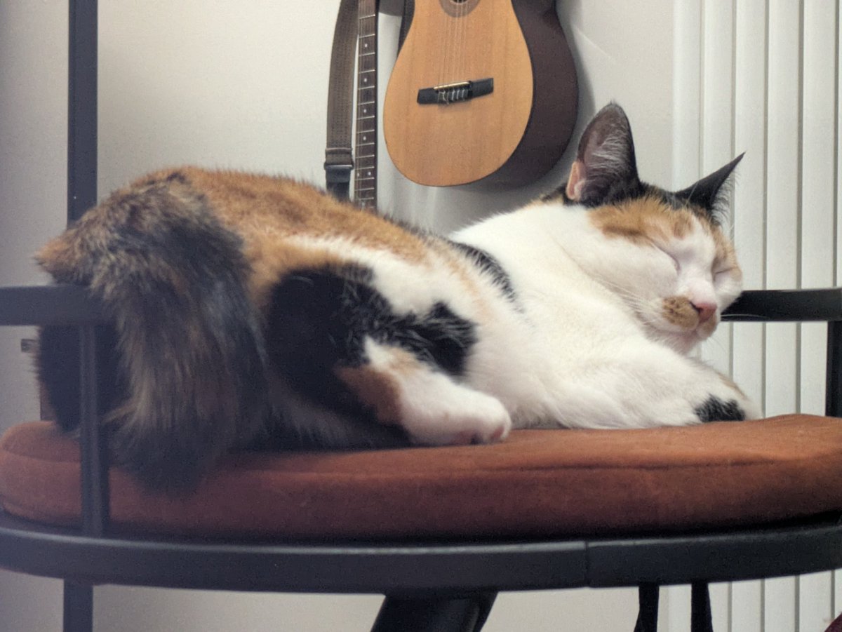 Volodymyr Stoiko tweet media