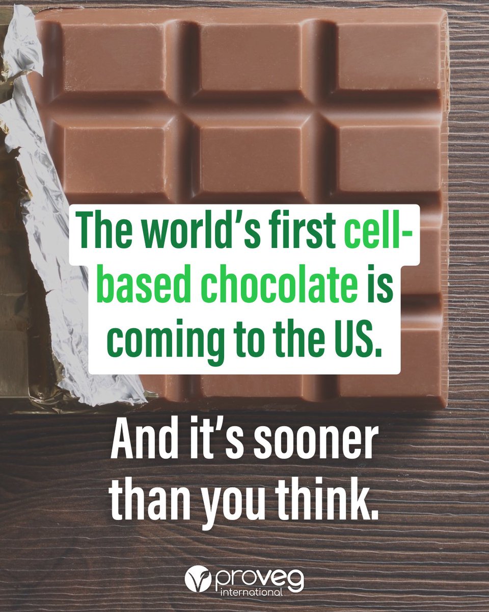 ProVeg International tweet media