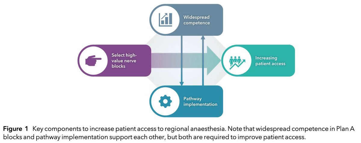 Anaes_Journal's tweet photo. Plan A blocks in regional anaesthesia

Key components to increase patient access to regional anaesthesia:
• select high value blocks
• widespread competence
• ⬆️ patient access
• pathway implementation

#anaesthesia #regionalanaesthesia #regionalanesthesia #pain #MedTwitter

https://t.co/BHb9RopP7d