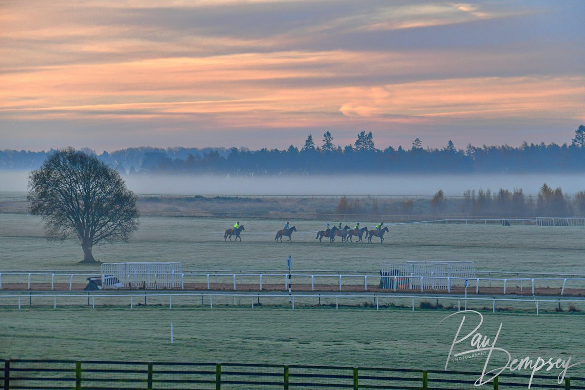 Paul Dempsey tweet media
