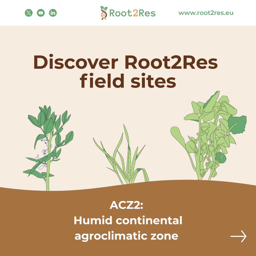 Root2Res tweet media