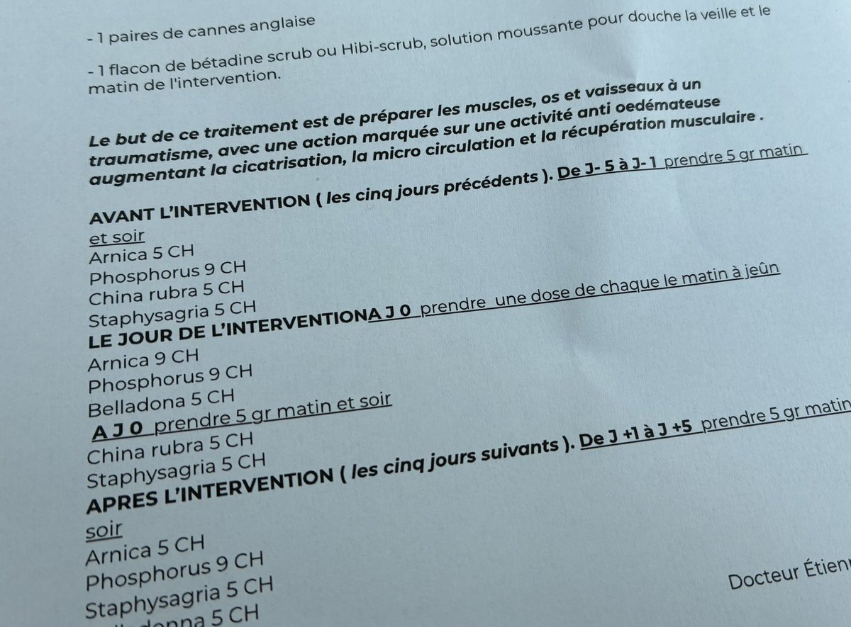 Mélina 🍁 tweet media