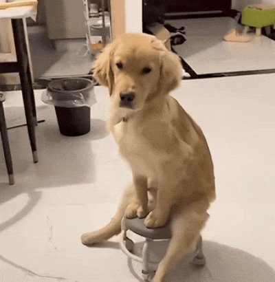 外滙交易員. tweet media