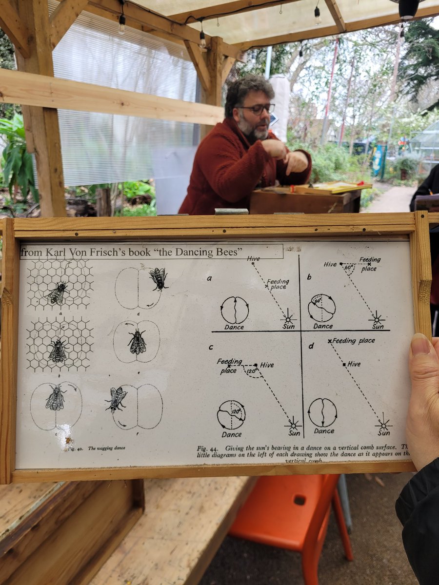 What a fantastic beekeeping workshop yesterday! We explored hive components and frame assembly. Thanks to everyone who attended!