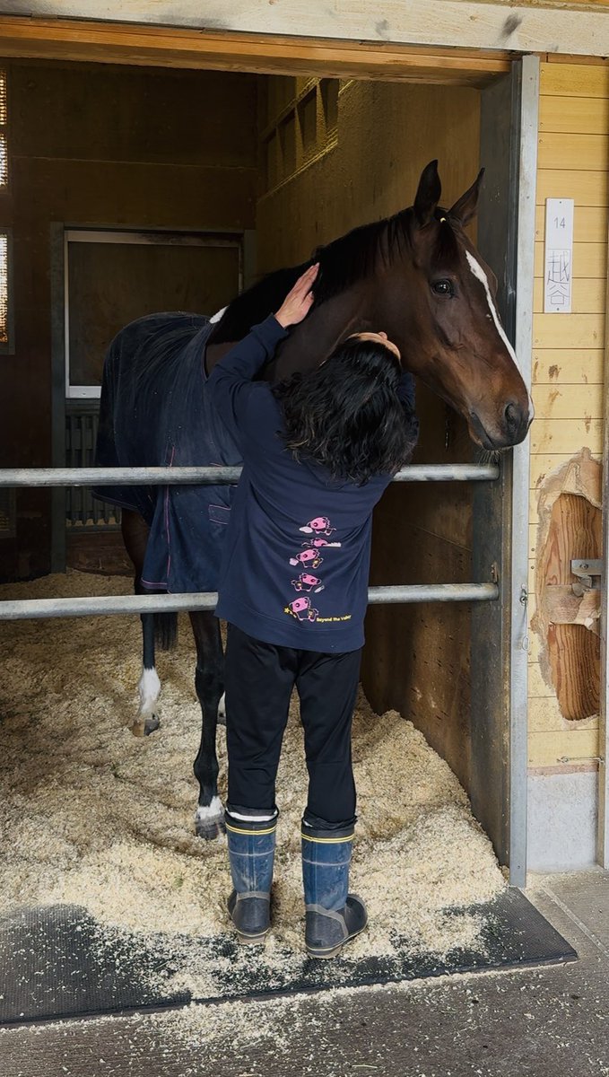 審査会 tweet media