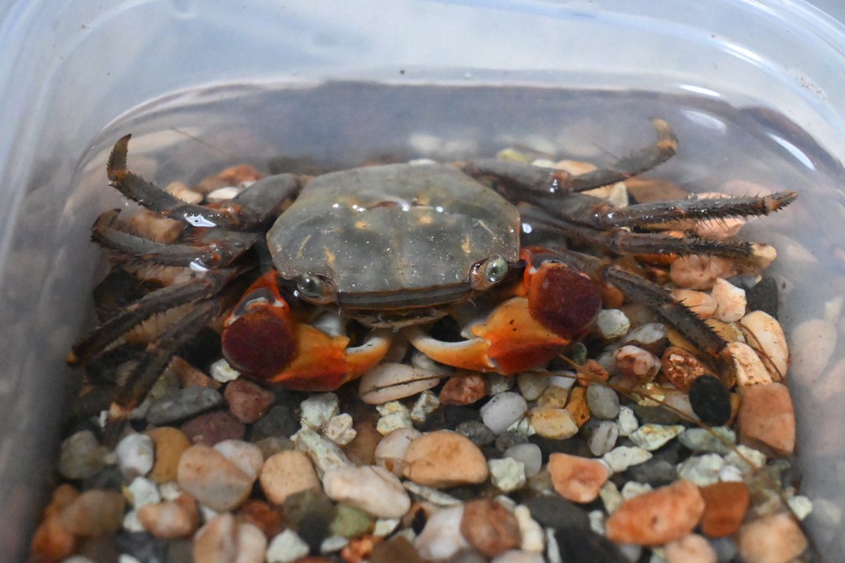 ゆーえぬ tweet media