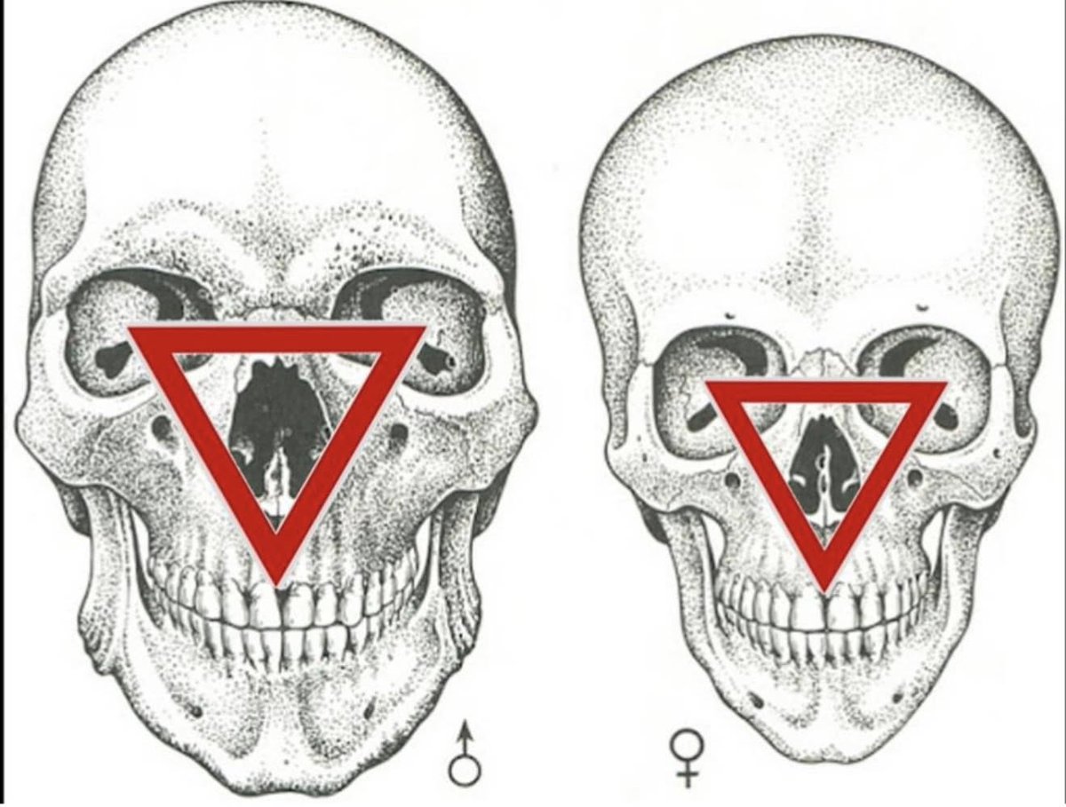 Jannetjejo tweet media