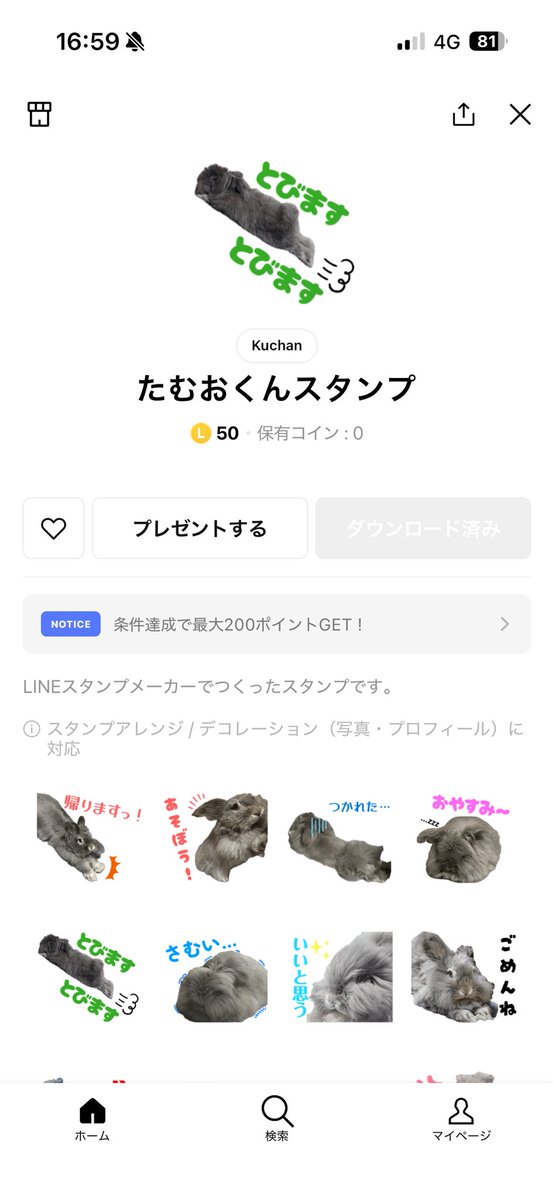 蒼井　怜 tweet media