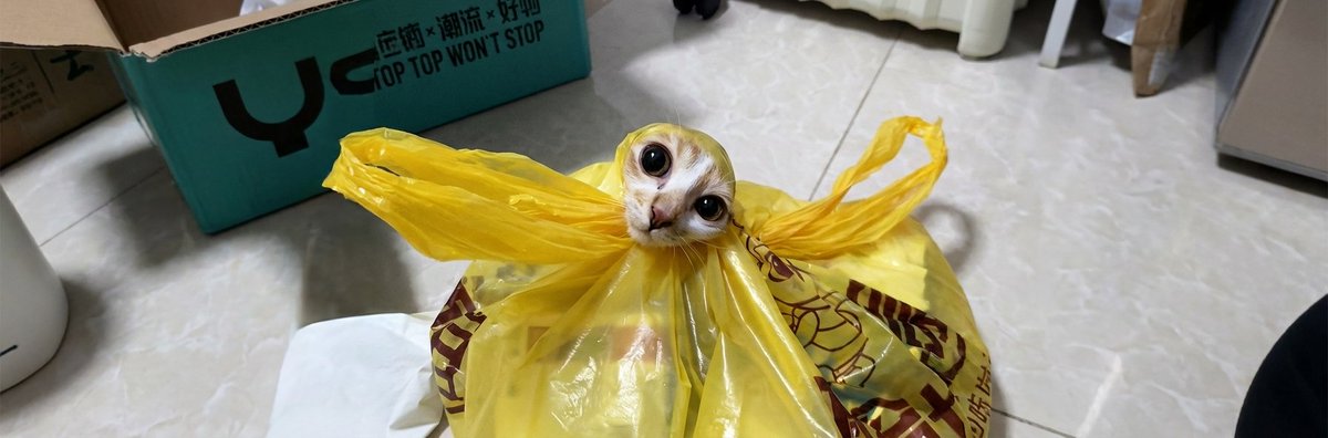 okmetom's tweet photo. A cat called DongDong (冻冻) just suddenly exploded across Chinese internet today.

One single video:
• 2M+ likes
• 2.4M shares
• 100M+ views
It’s quietly becoming the hottest cat meme of the week.
And somehow… the global internet still hasn’t noticed.
Go send DongDong before everyone else does. 🐱🛍️

https://t.co/Q88yOMFOGG