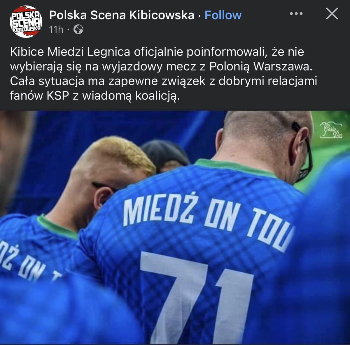 Kiwiosz tweet media