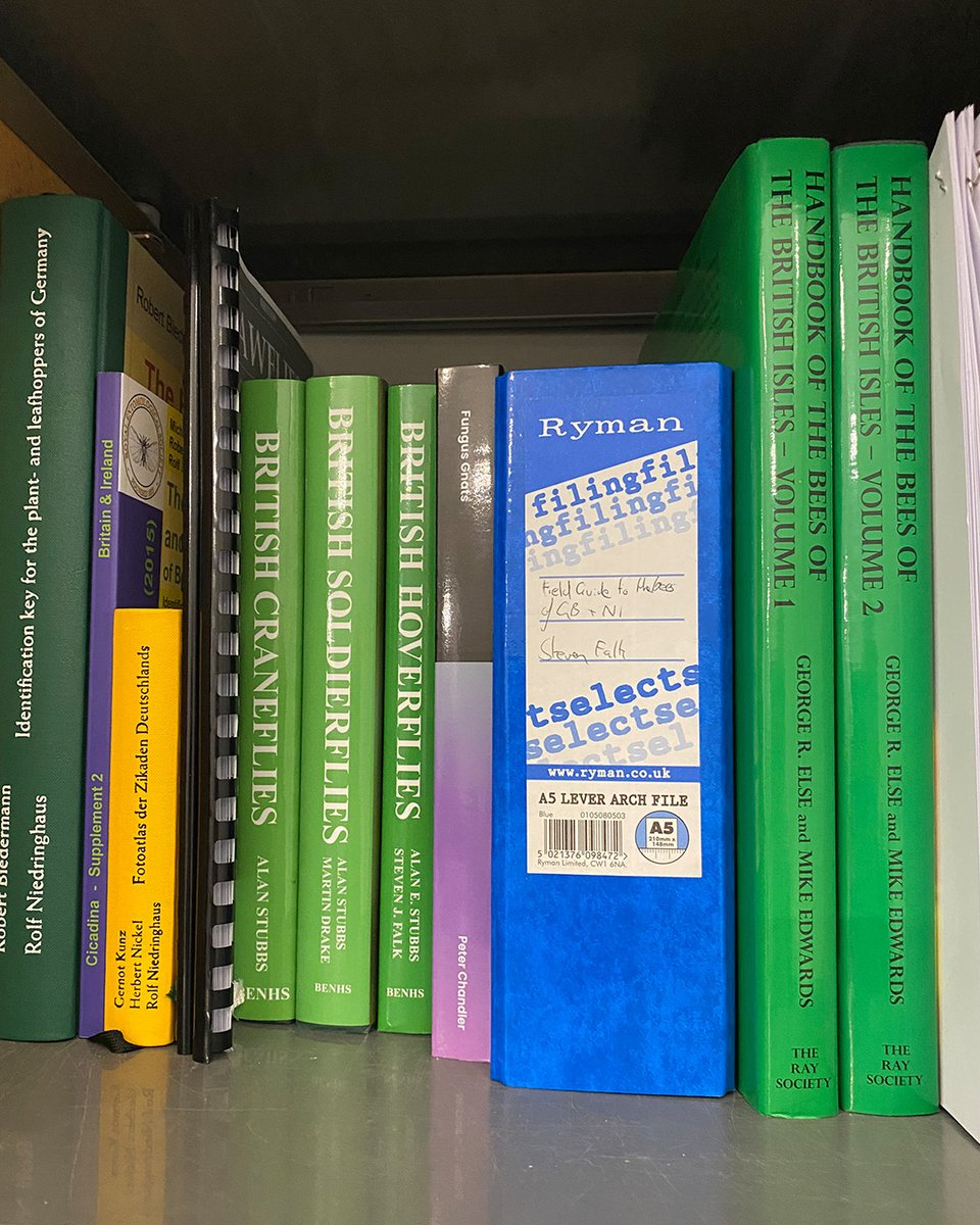 Baker Consultants - Ecology and Ecoacoustics tweet media