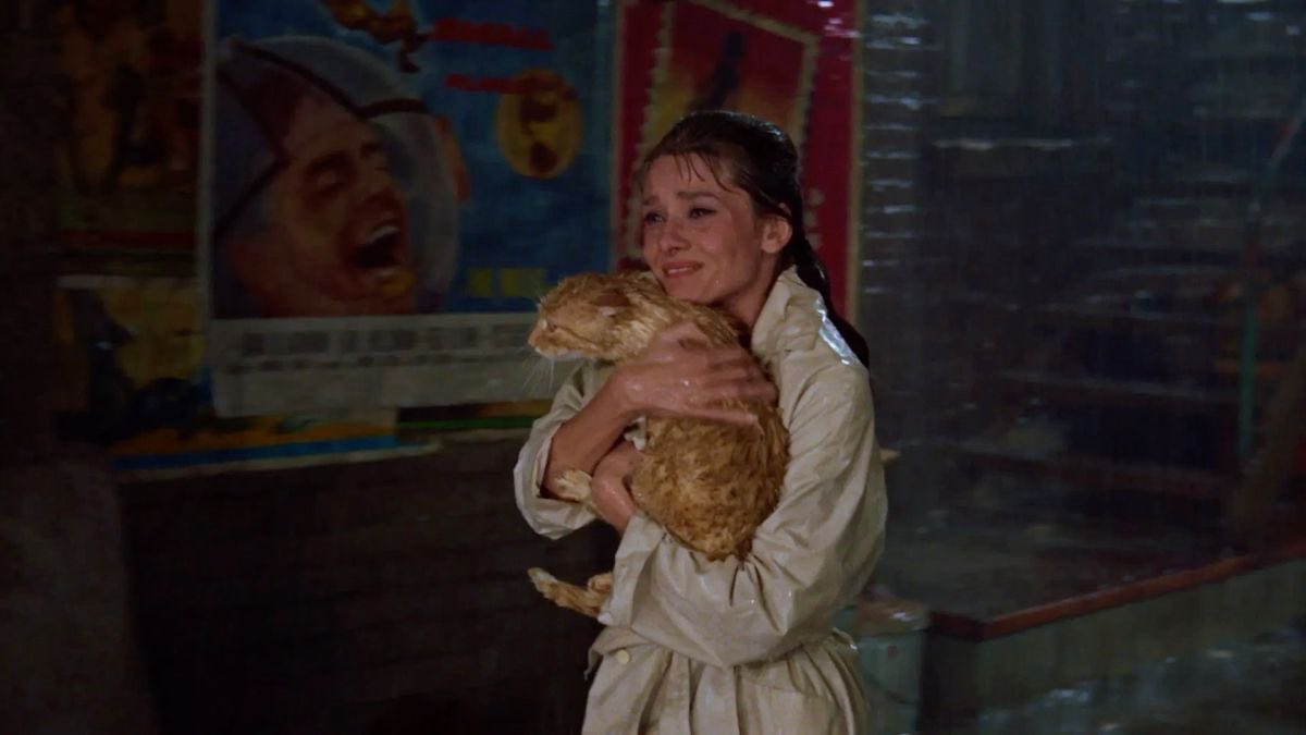 mia︎ ཐི༏ཋྀ tweet media