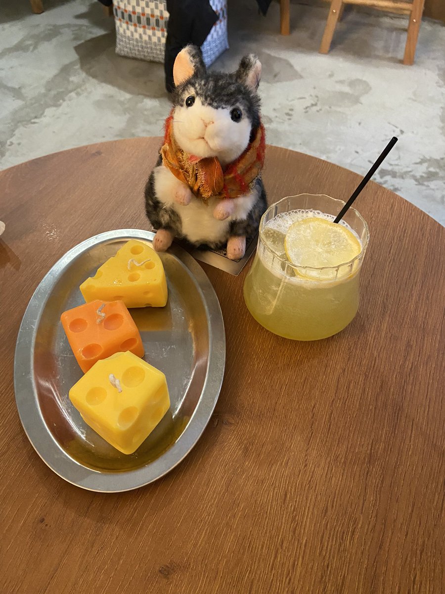 305raysmile's tweet photo. 台湾Teaのお店
柚子茶美味しかった
＃十二国記
＃楽俊
@オリックス劇場近く
2026.3.9
サンキューの日 https://t.co/zzDH5PqE1K